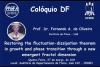 Colóquio 27/03/2025 - "Restoring the fluctuation-dissipation theorem in growth and phase transition through  a new emergent fractal dimension"